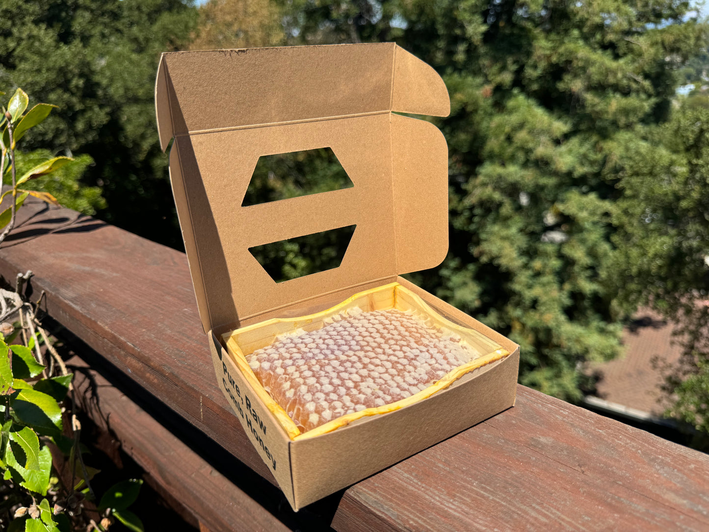 Comb Honey on the San Francisco Peninsula - Pure and Sustainable