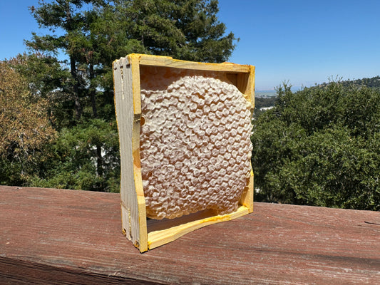 Comb Honey on the San Francisco Peninsula - Pure and Sustainable