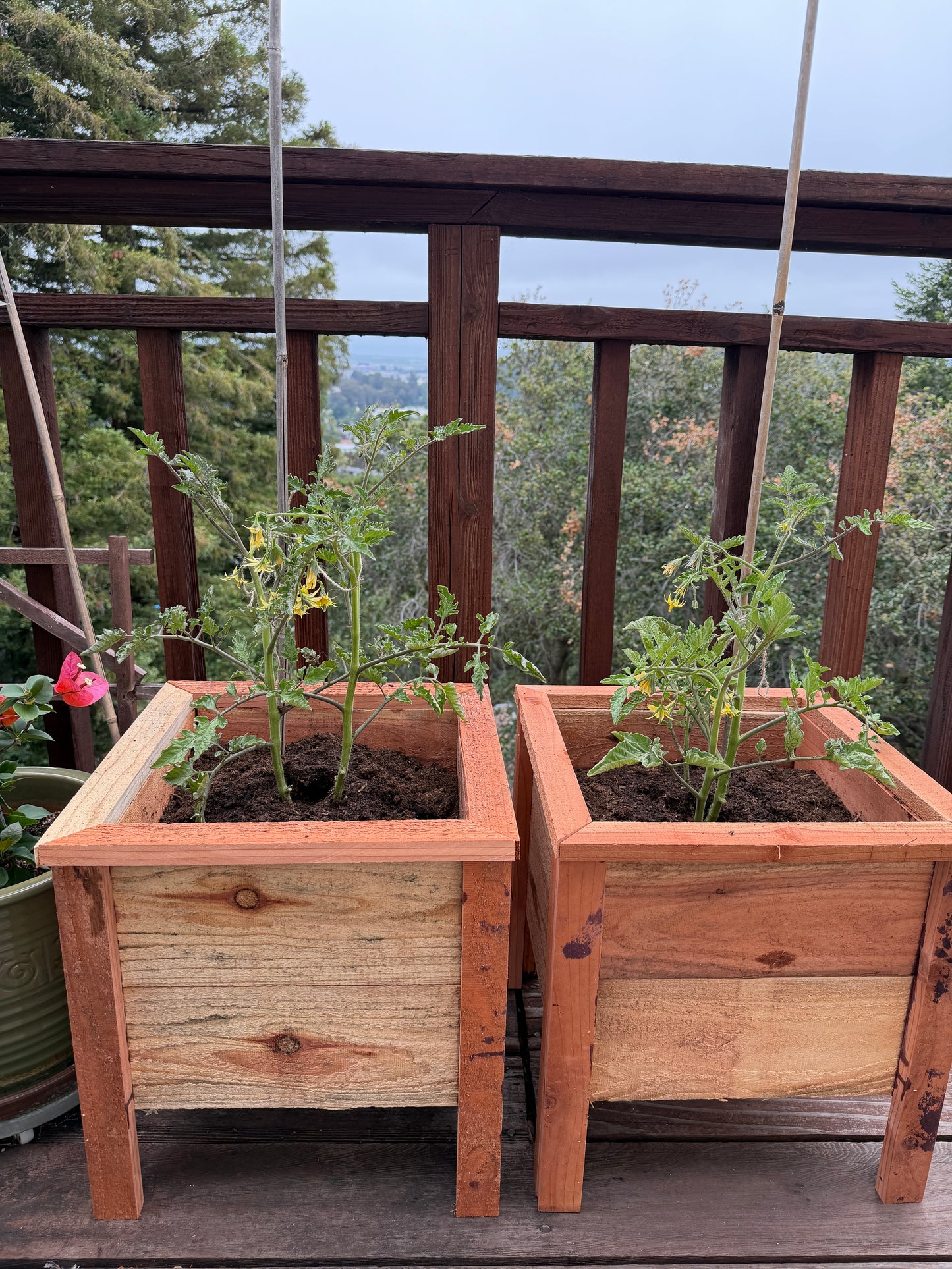 Cedar Planter Box