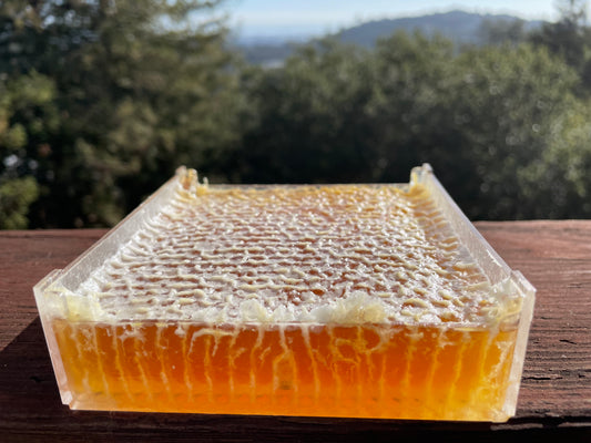 Comb Honey on the San Francisco Peninsula - Nature's Artistry in Every Cell