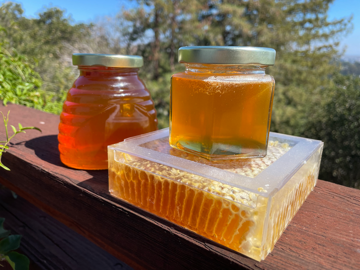 Two jars of honey and a container of comb honey.