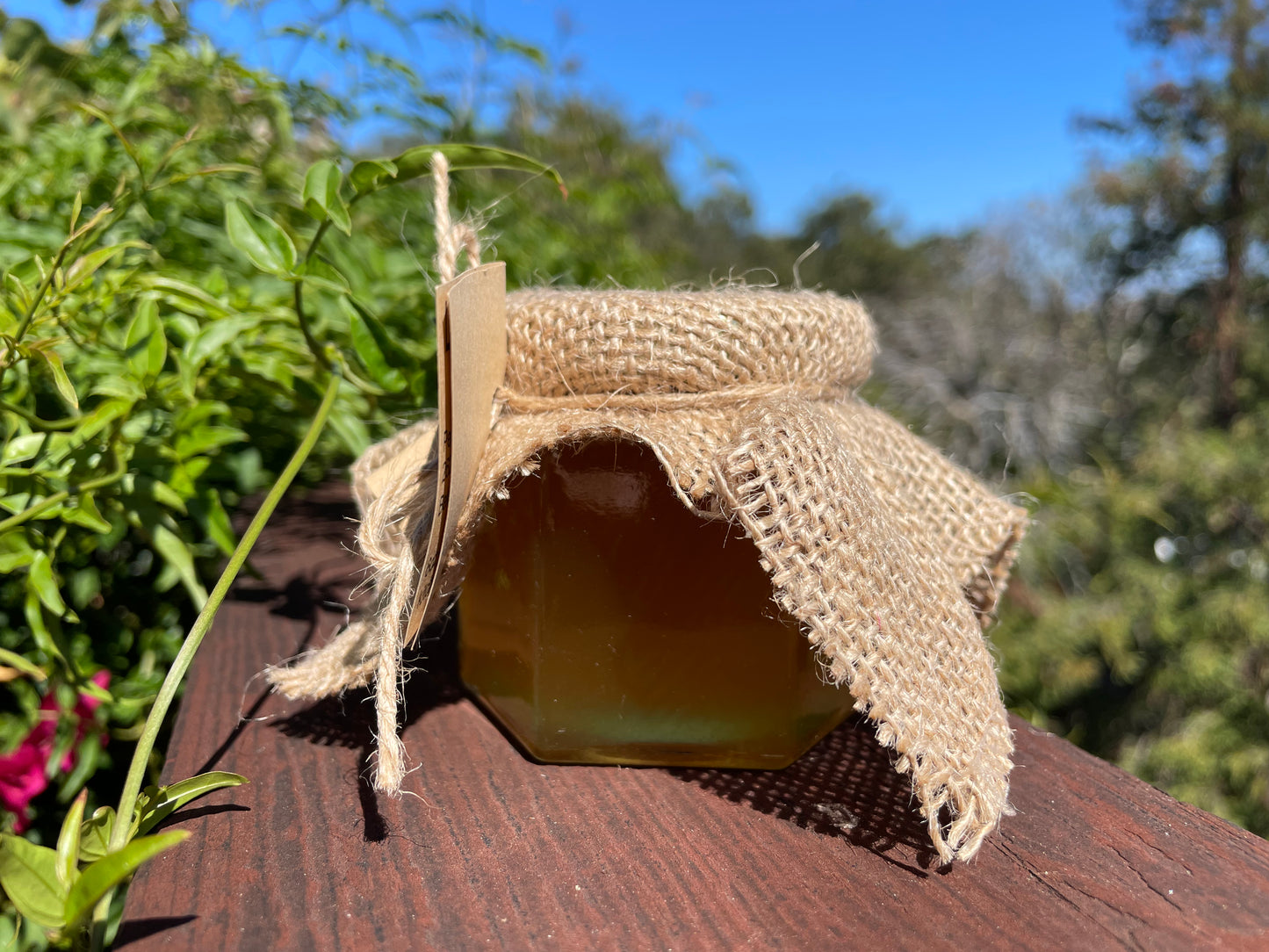 Pure, Raw, Local Honey - A Sweet Delight from Nature's Bounty